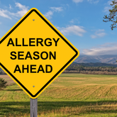 Allergy Season Support: Anti-Inflammatory Plant Milk Recipes