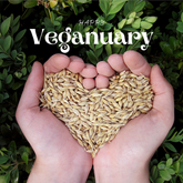 Veganuary 101: How to Transition to a Plant-Based Diet Without Stress