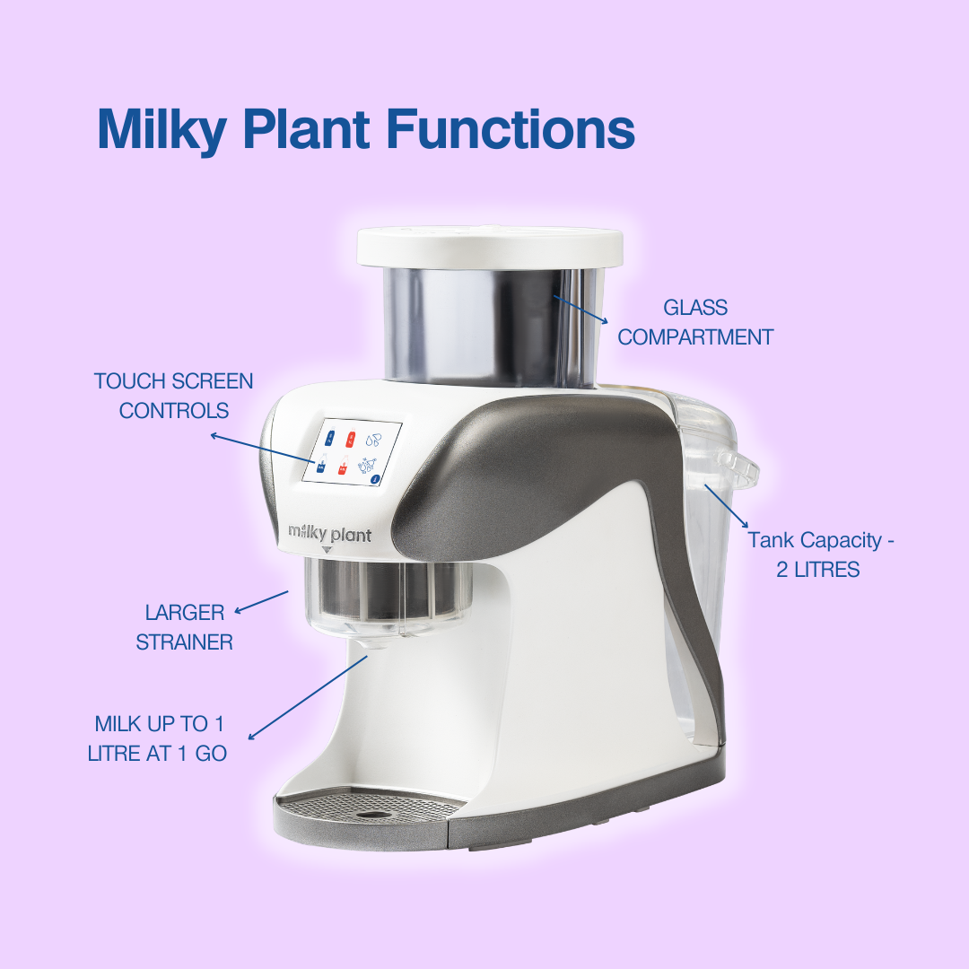 Milchpflanze