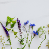 From Blossoms to Beverages: Flower-Infused Plant Milks to Try