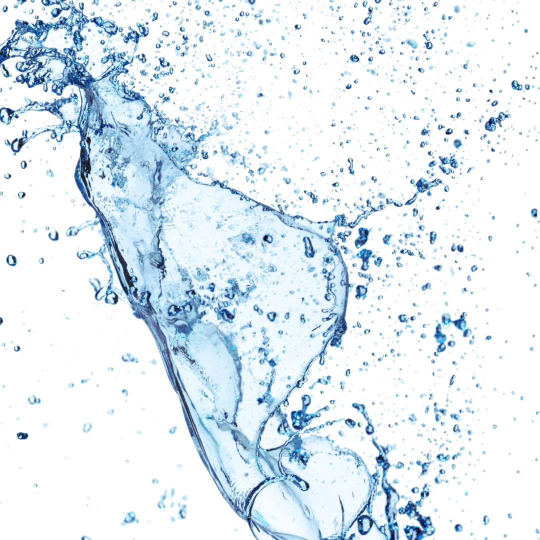 How Filtered Water Improves Nutrient Uptake & Digestion