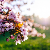 Pre-Spring Detox Myths vs. Truth