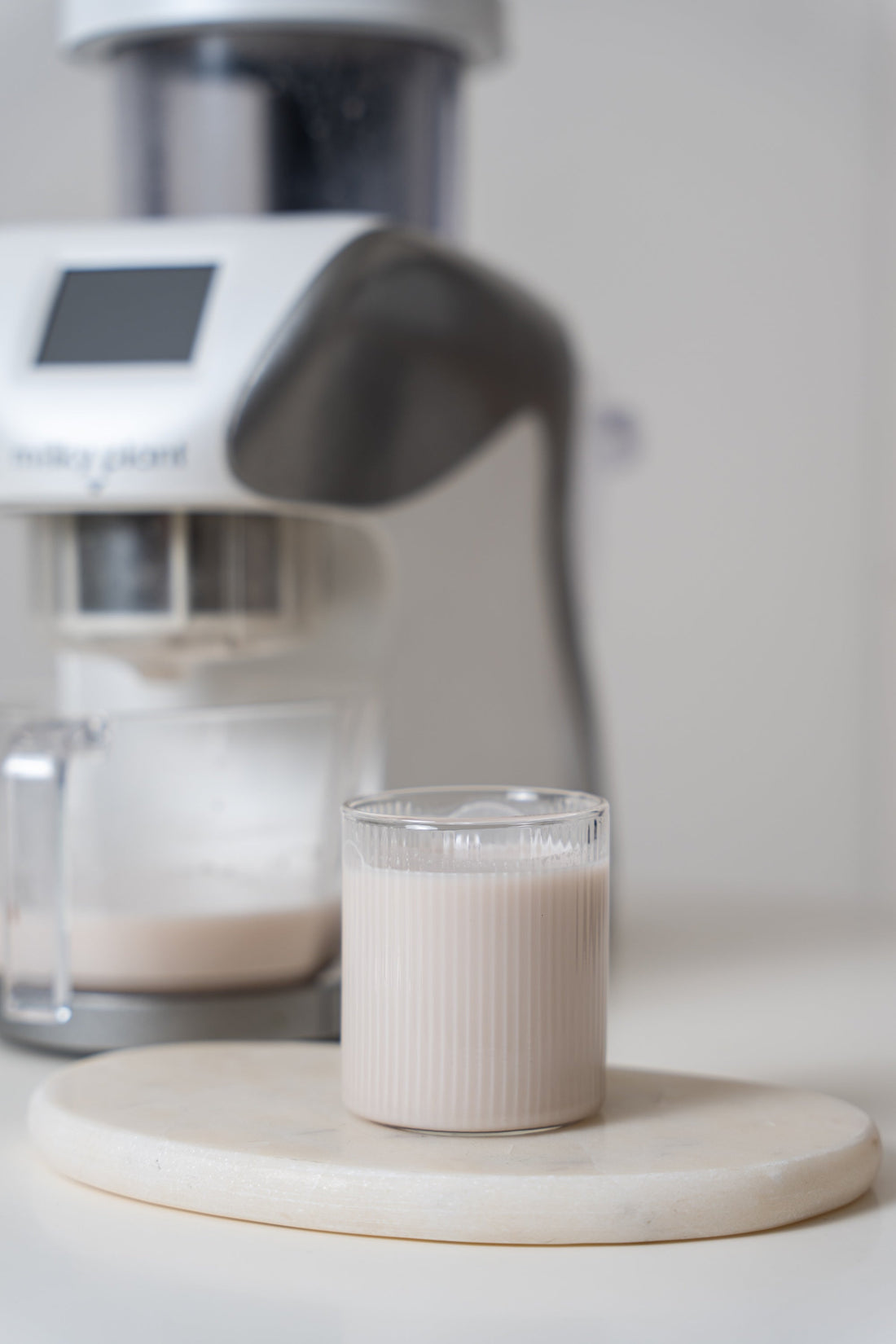 Sunflower Seed Milk