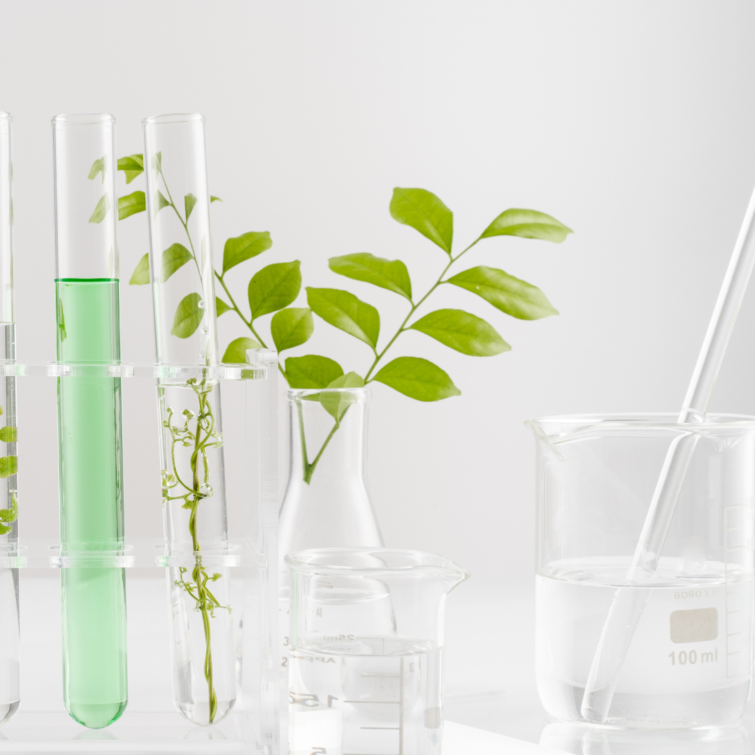Veganism in 2026: What the Numbers and the Science Actually Say